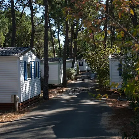 Camping La Siesta Campsite