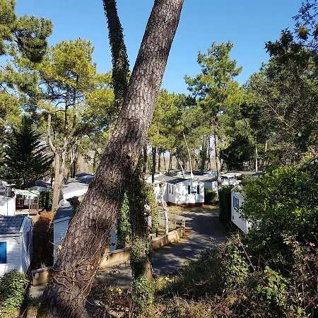Camping La Siesta Campsite